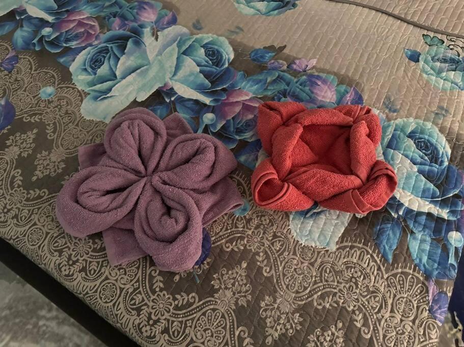 קואלה לומפור Iris Homestay @ Taman Melati מראה חיצוני תמונה